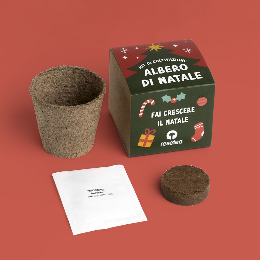 Kit di coltivazione Albero di Natale 7x6,5x7 cm