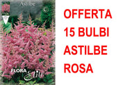 OFFERTA 15 BULBI ASTILBE ROSA