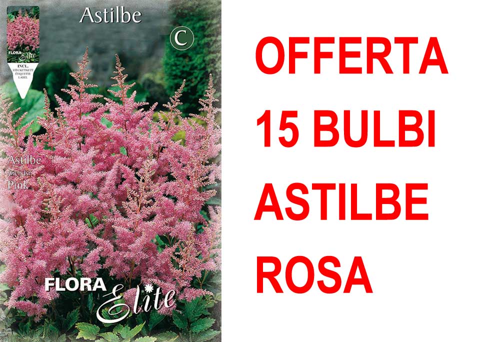 OFFERTA 15 BULBI ASTILBE ROSA