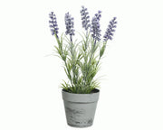 VASO LAVANDA D.18X33 PORPORA