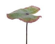 FOGLIA LOTO DECORATIVA 26X82CM VERDE