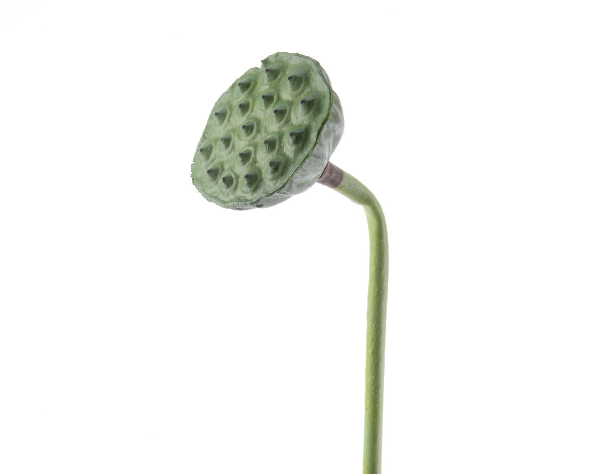 RAMO LOTO DECORATIVA 7X84CM VERDE