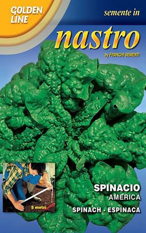 SEMI SPINACIO AMERICA FRANCHI SEMENTI