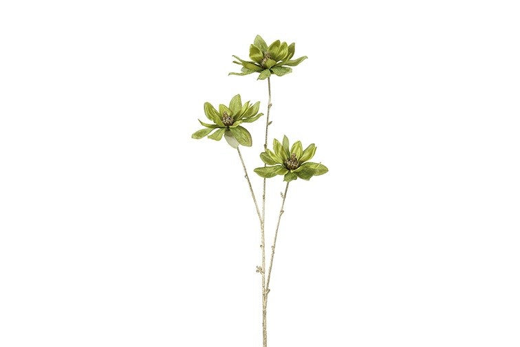 Ramo di Magnolia Verde e Oro