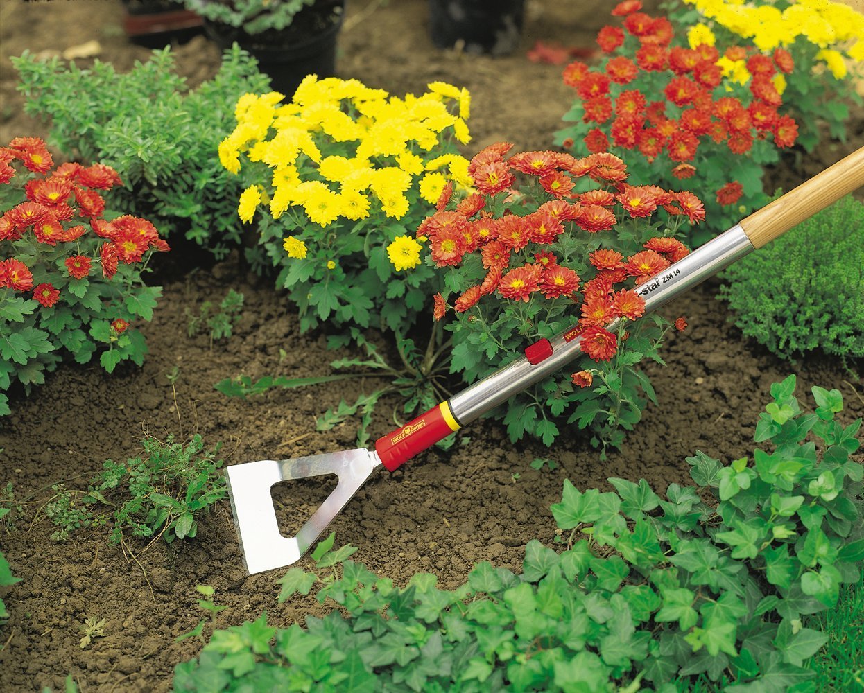ZAPPETTA DH-M