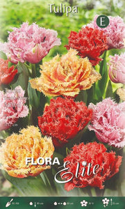 Mix Bulbi Tulipano Doppi Frangiati 5 Bulbi - immagine 1