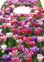 Mix Bulbi di Tulipano Bubble 20 Bulbi - immagine 1