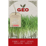 SEMI BIO DI FARRO PER GERMOGLI 80GR