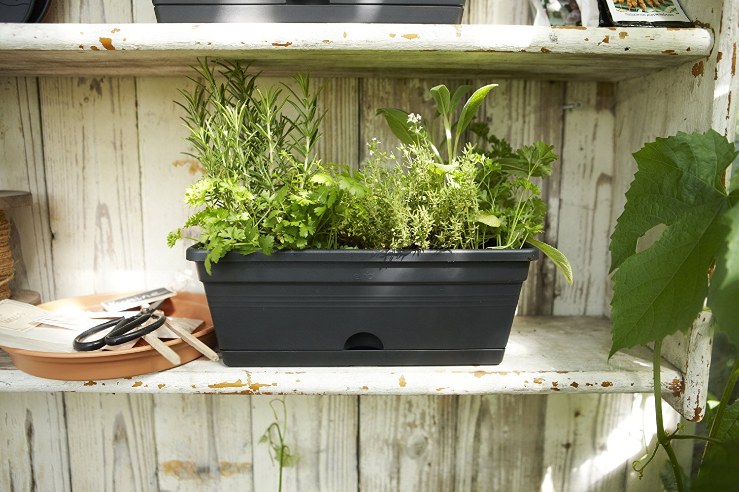 FIORIERA GREEN BASICS TROUGH MINI 30CM COLORE A SCELTA