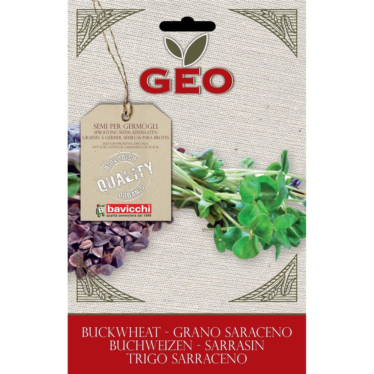 SEMI BIO DI GRANO SARACENO PER GERMOGLI 90GR