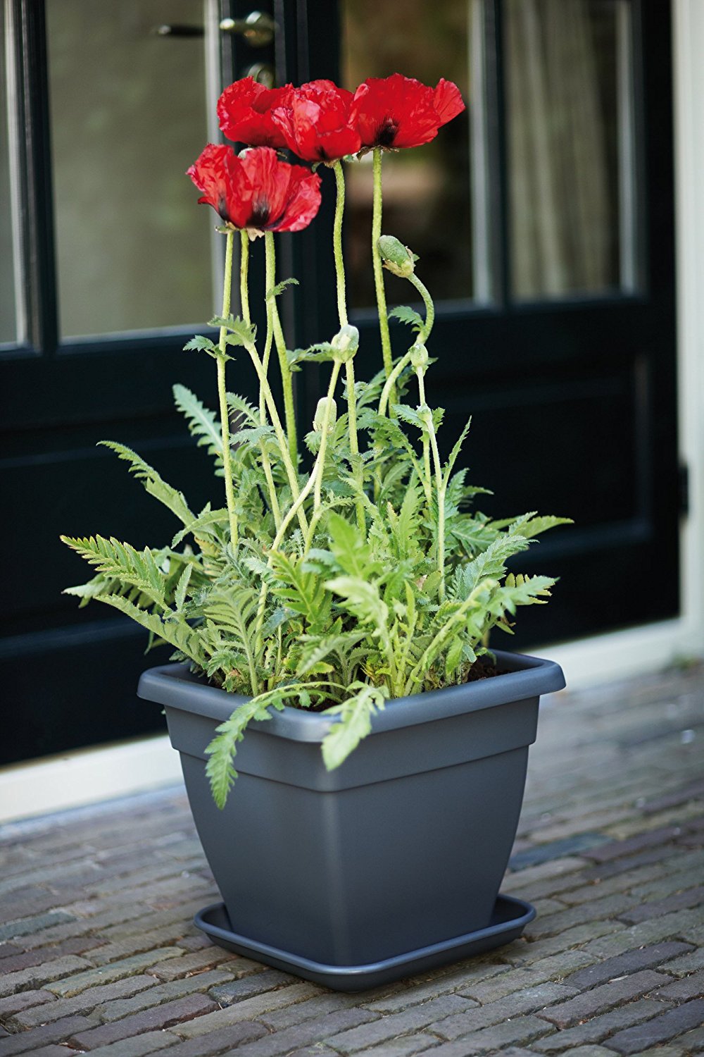 VASO TORINO CAMPANA SQUARE 30CM COLORE A SCELTA