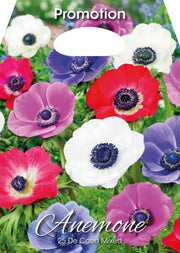 Anemone De Caen Mixed (CONFEZIONE DA 25 BULBI)