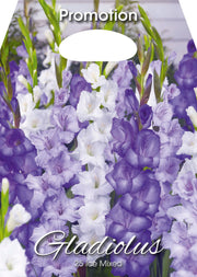 Gladioli Ice Mixed (CONFEZIONE DA 25 BULBI)