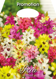 Ixia Mixed (Packung mit 50 Glühbirnen)