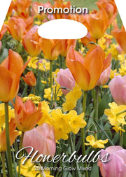 Bulbi da Fiore Mix Morning Glow 25 Bulbi - immagine 1
