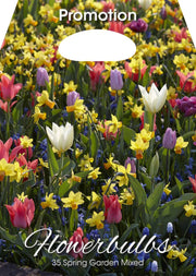 Mix Bulbi da Fiore Giardino Primaverile 35 Bulbi - immagine 1