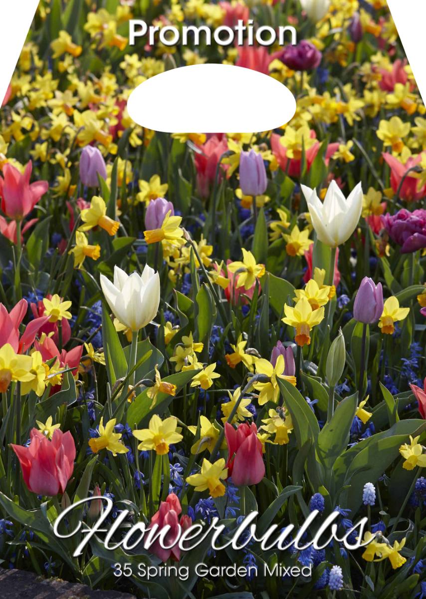 Mix Bulbi da Fiore Giardino Primaverile 35 Bulbi - immagine 1