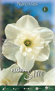 Bulbi di Narciso Split Corona Papillon Blanc 5 Bulbi - immagine 1