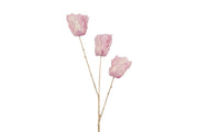 Tulipani Finti Viola (x3)
