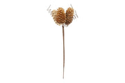 Micro Pick Pino Oro 3cm