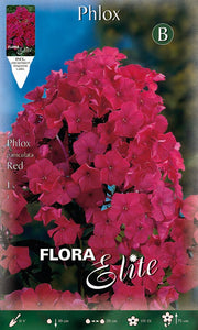PHLOX RED (CONFEZIONE DA 1 BULBO)