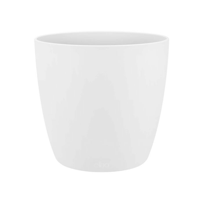 MIX 4 PIANTE PURIFICATRICI DELL'ARIA VASO 12CM + 4 COPRIVASO BIANCHI