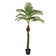 PALMA ARTIFICIALE IN VASO 230CM