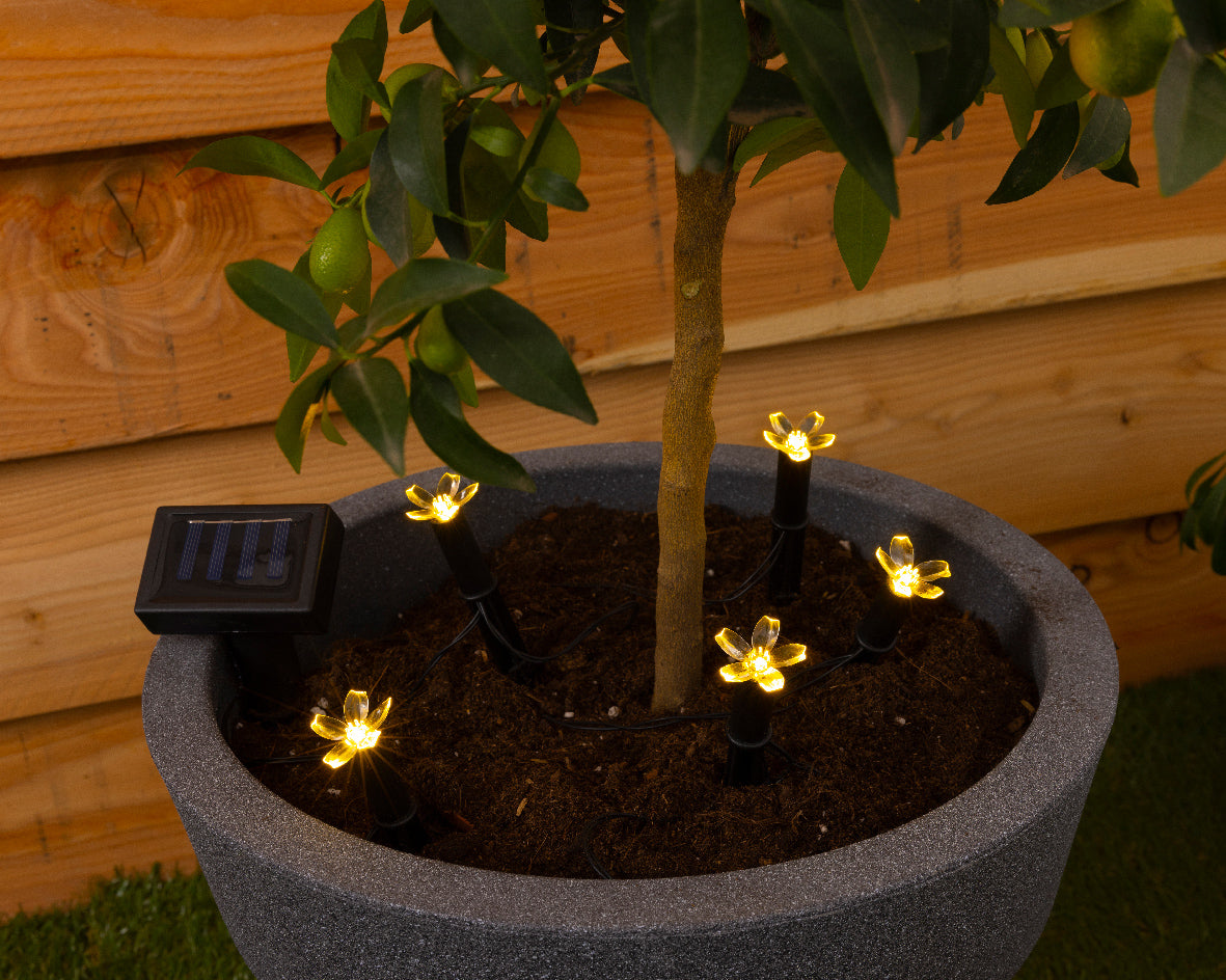 LUCI SEGNAPASSO SOLARI INSETTI/FIORI MODELLO A SCELTA 150CM