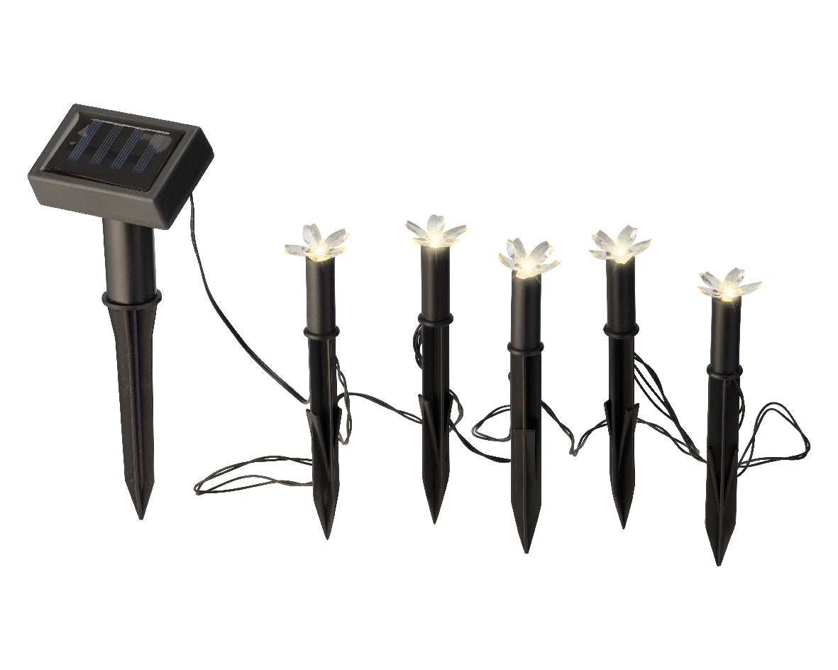 LUCI SEGNAPASSO SOLARI INSETTI/FIORI MODELLO A SCELTA 150CM