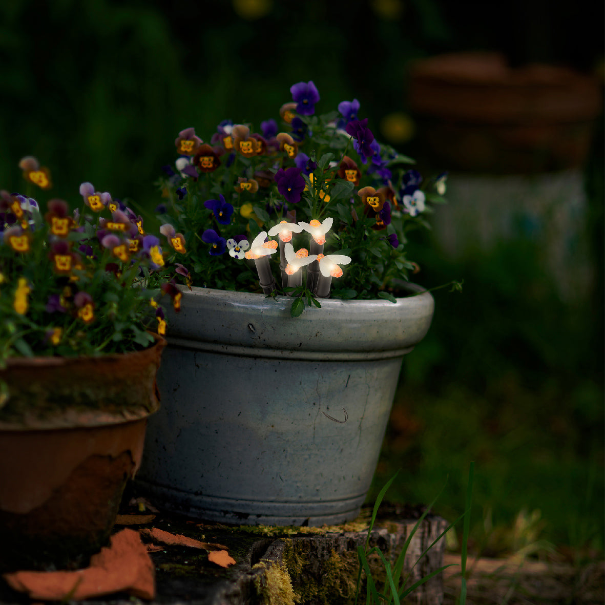 LUCI SEGNAPASSO SOLARI INSETTI/FIORI MODELLO A SCELTA 150CM