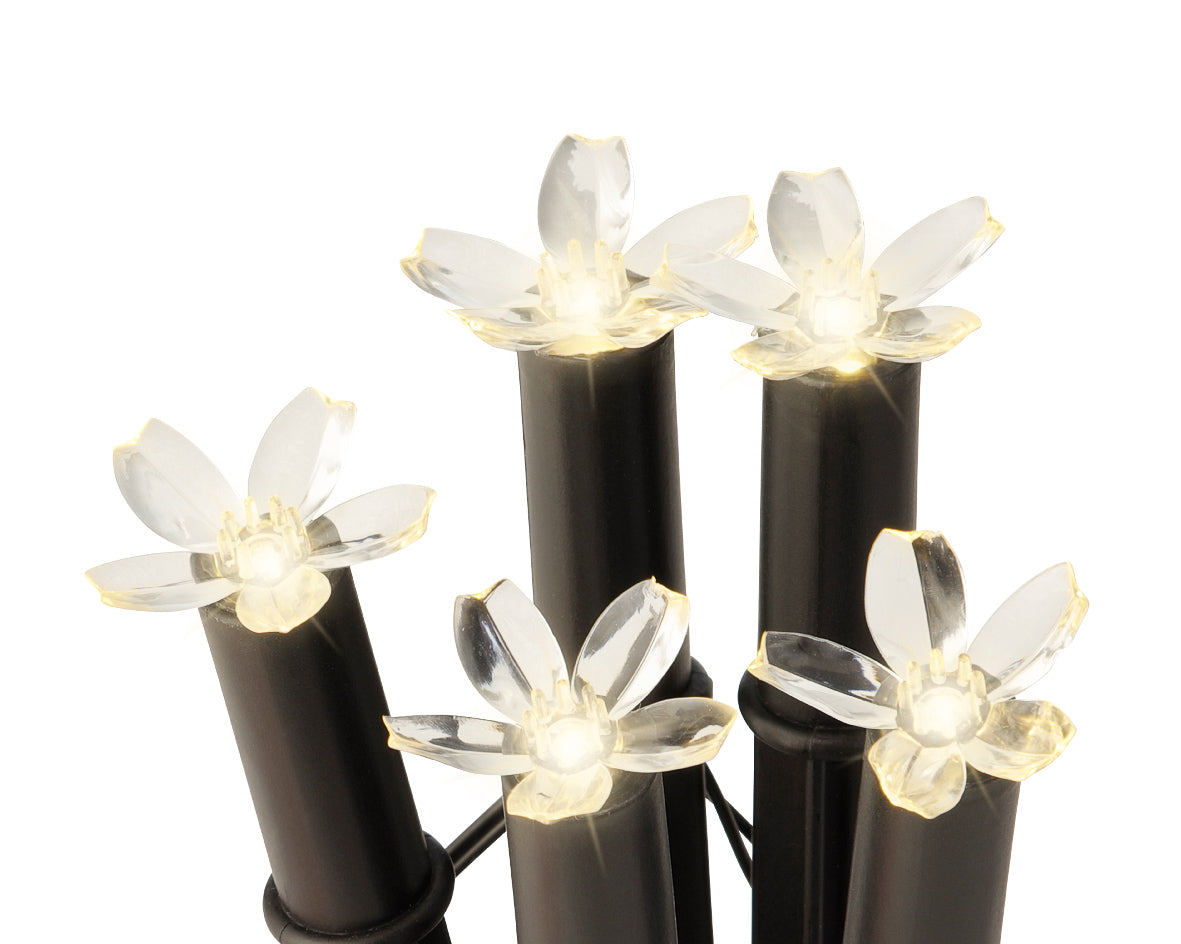 LUCI SEGNAPASSO SOLARI INSETTI/FIORI MODELLO A SCELTA 150CM