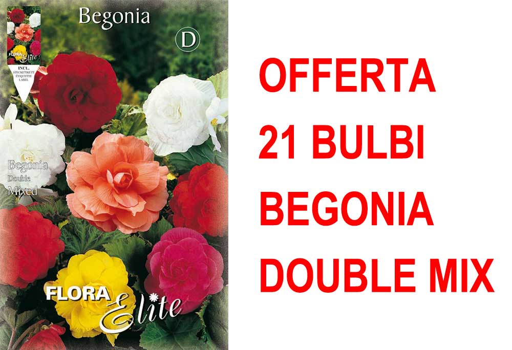 OFFERTA 21 BULBI DI BEGONIA DOUBLE MIX