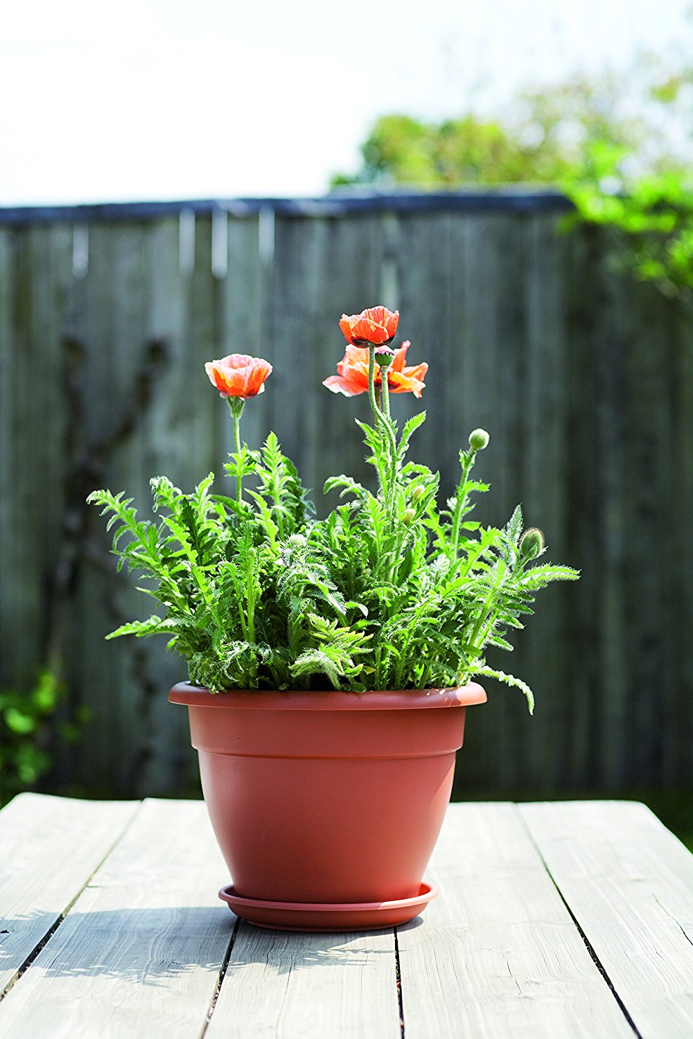 VASO TORINO CAMPANA 50CM COLORE A SCELTA