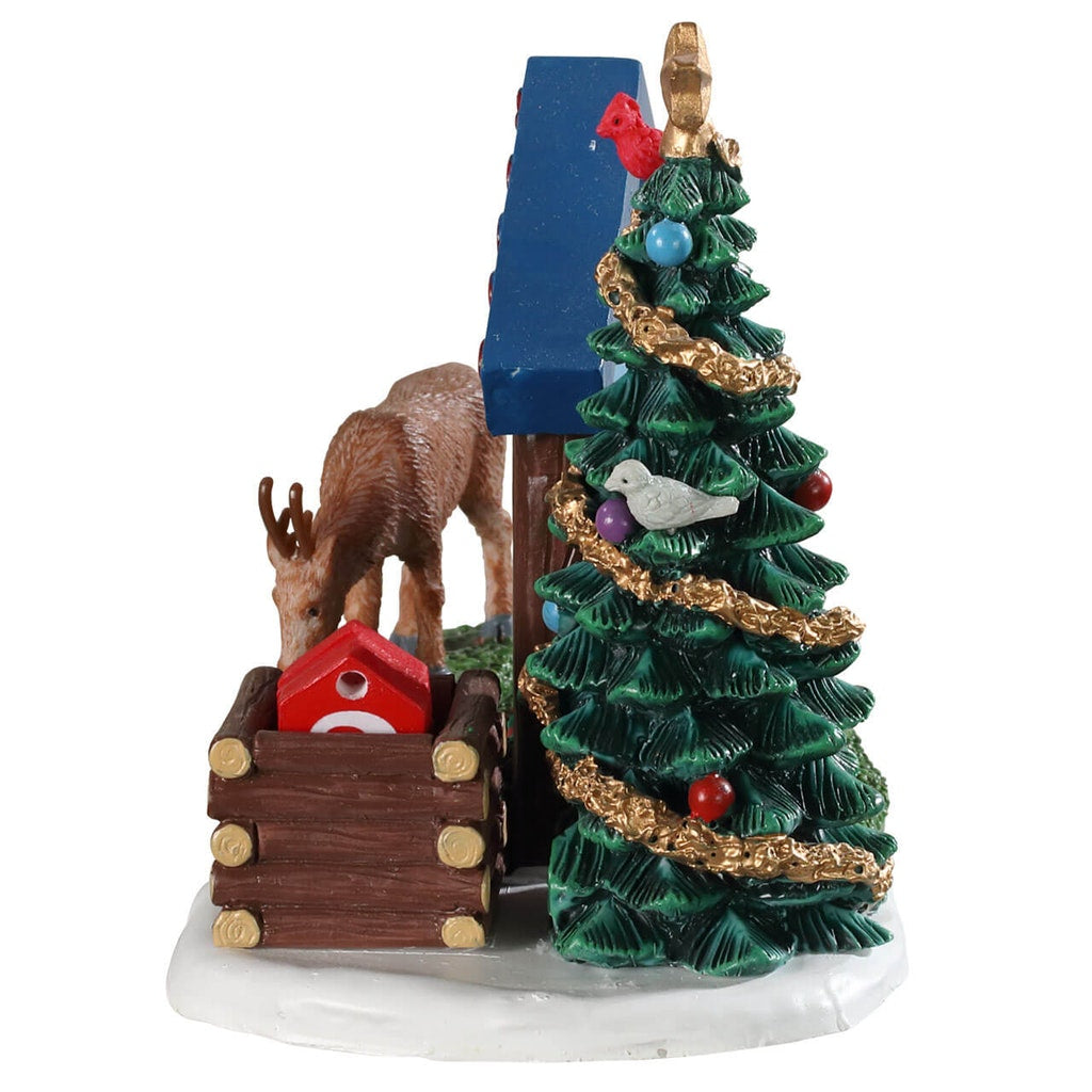CONTO ALLA ROVESCIA NEL BOSCO - WOODLAND COUNTDOWN