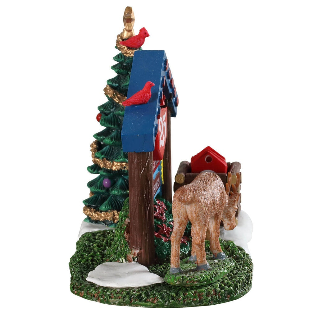 CONTO ALLA ROVESCIA NEL BOSCO - WOODLAND COUNTDOWN