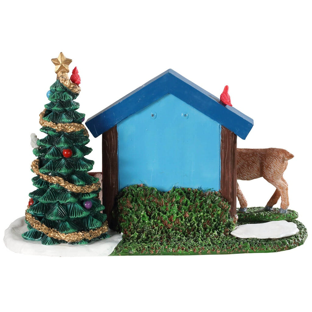 CONTO ALLA ROVESCIA NEL BOSCO - WOODLAND COUNTDOWN