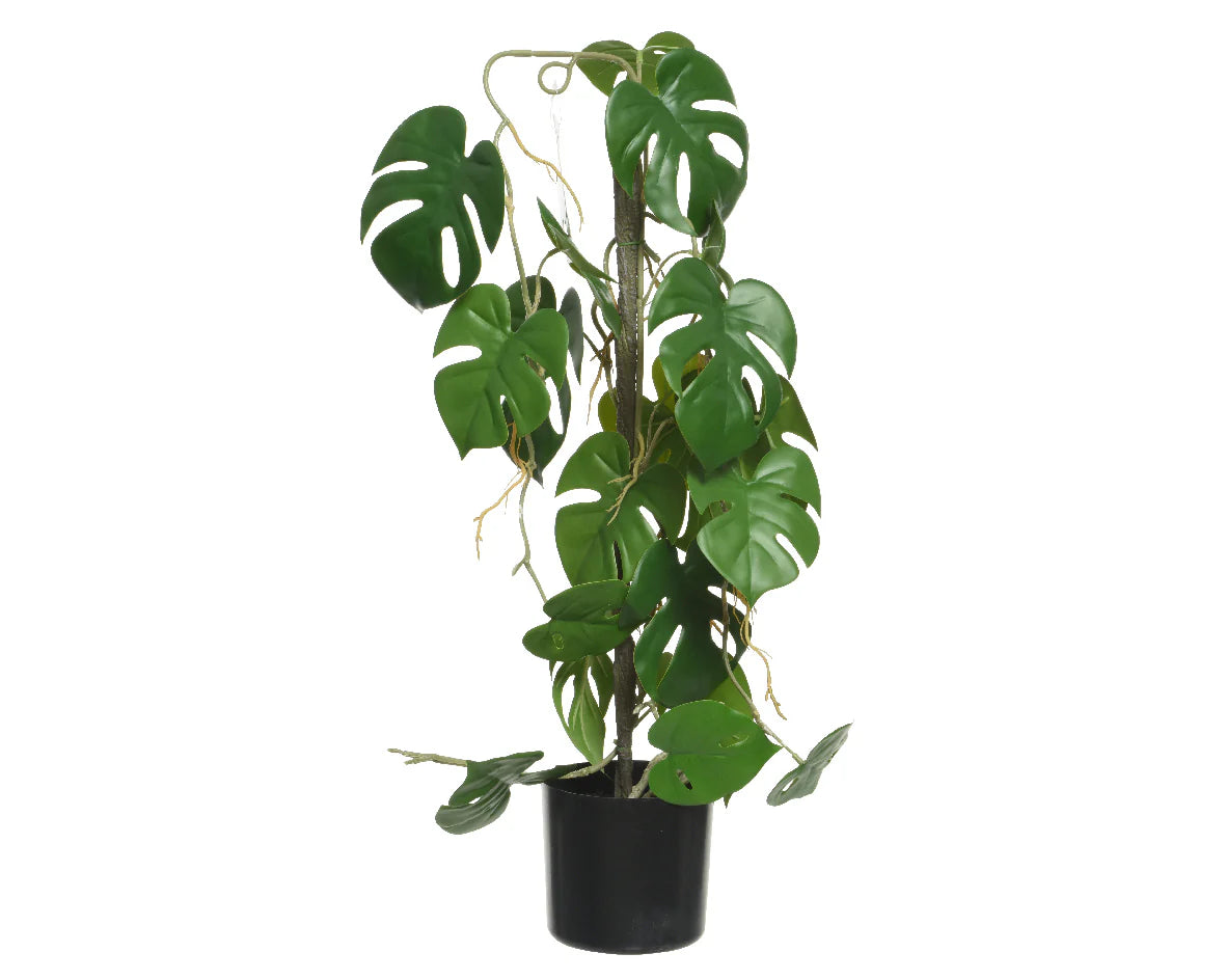 PIANTA MONSTERA ARTIFICIALE CON VASO 31X20X63,5H CM