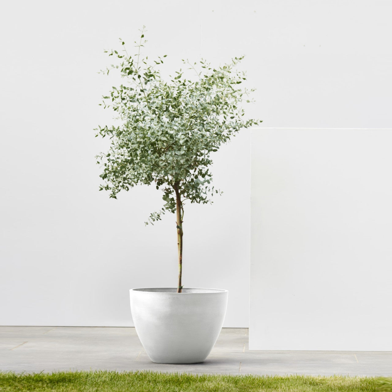 Vaso Rotondo D30 H25,5 Bianco Puro Ecopots