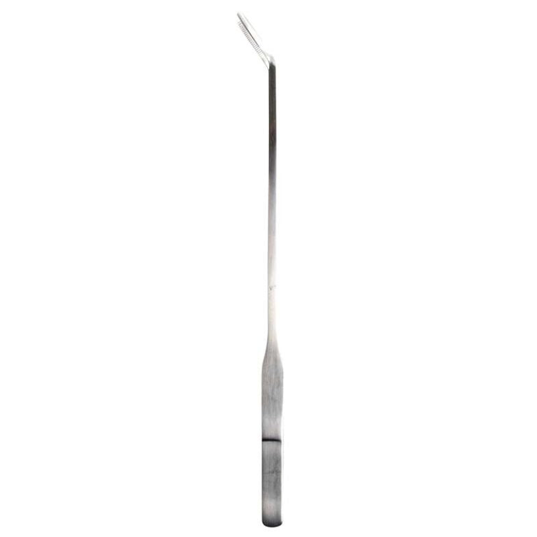 Pinzetta per Terrario 26.6 cm Argento