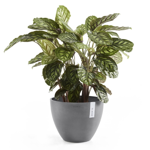 Vaso Rotondo D30 H25,5 Grigio Ecopots