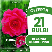 Offerta 21 Bulbi Begonia Double Pink