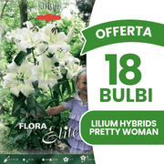 OFFERTA 18 BULBI LILIUM HYBRIDS PRETTY WOMAN