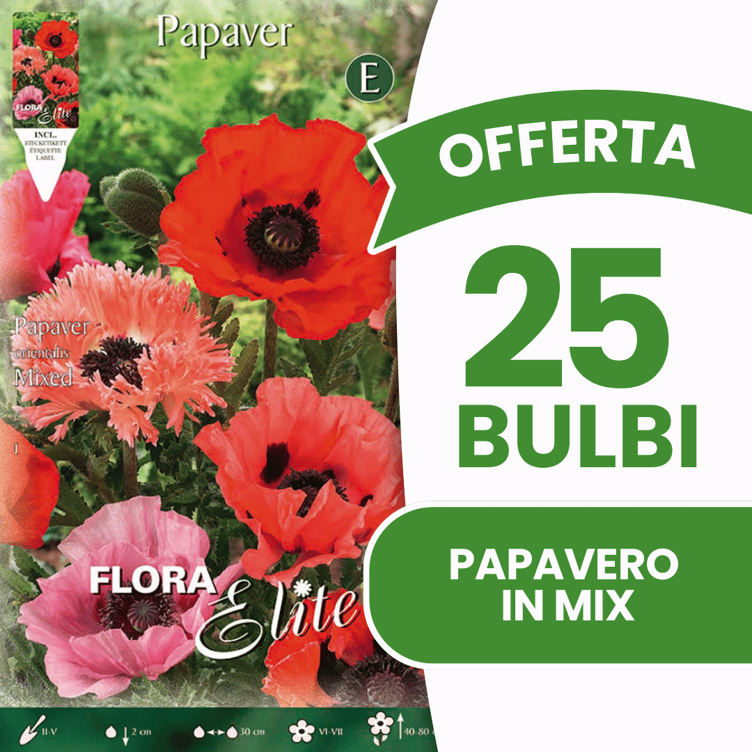 OFFRE DE 15 BULBES DE COQUELICOT DE COULEURS ASSORTIES