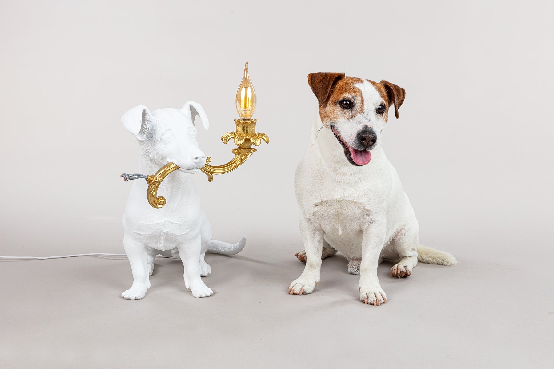 Lampada da Tavolo Rio Cane Bianco Oro 42x25x34cm SELETTI
