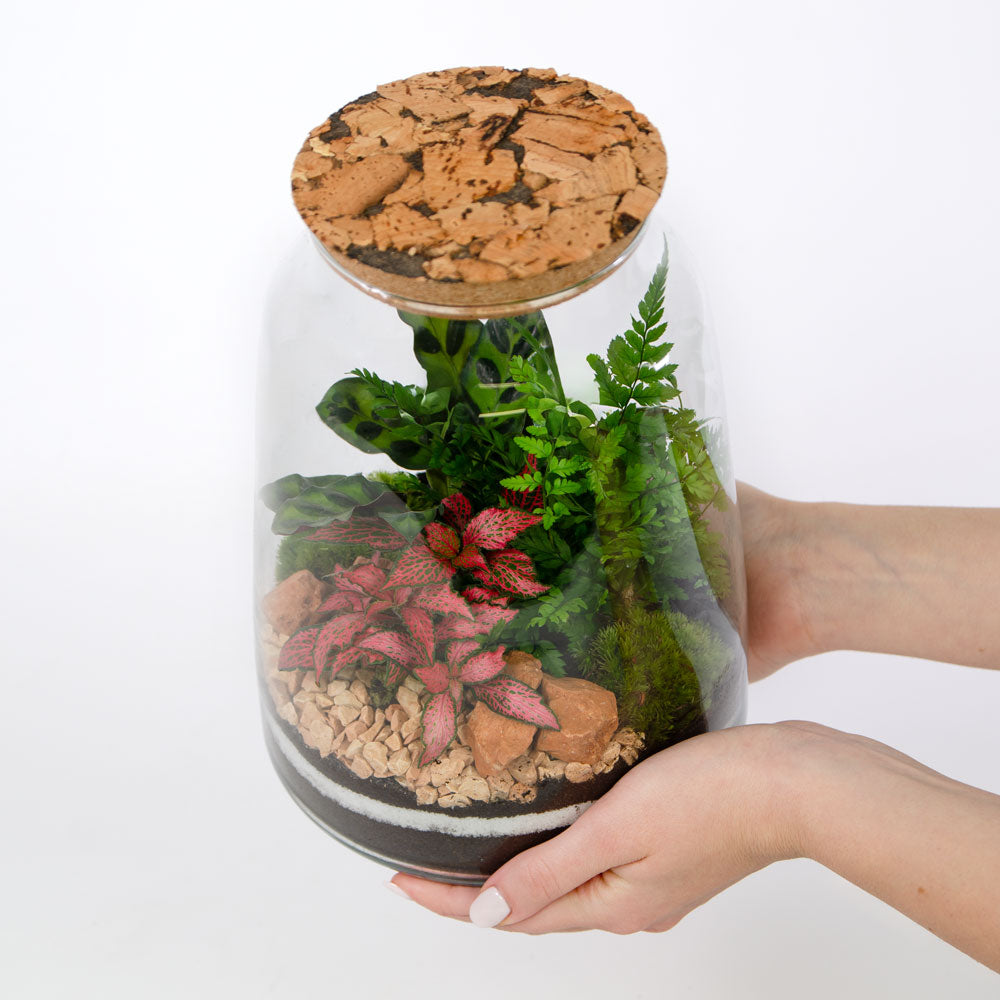 Corso Terrarium + Kokedama - 23 Maggio 2026