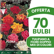 TULIPES À FLEURS DOUBLES, COULEURS ASSORTIES (PAQUET DE 7 BULBES)