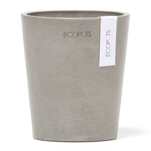 Vaso Per Orchidee Morinda D11 H12.5 Talpa Ecopots