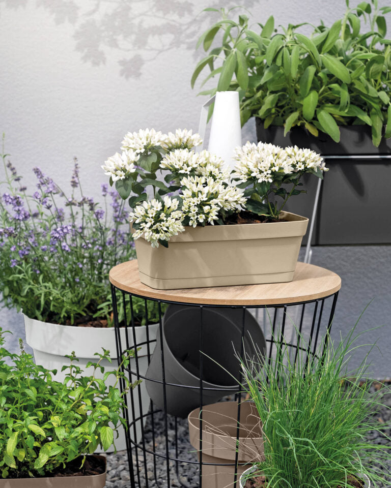 Cassetta Con Sottocassetta CLEO CLIP 30CM BRONZO