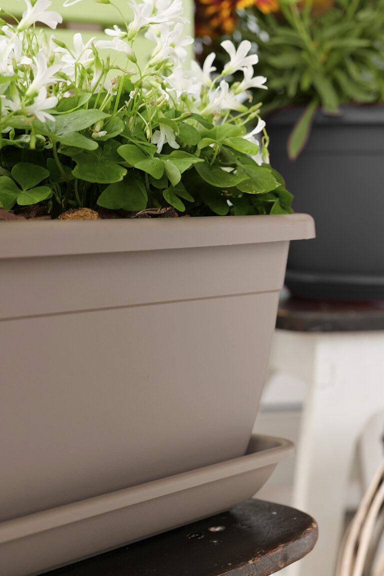 Cassetta Naxos 50x20xH16cm Bronzo VECA