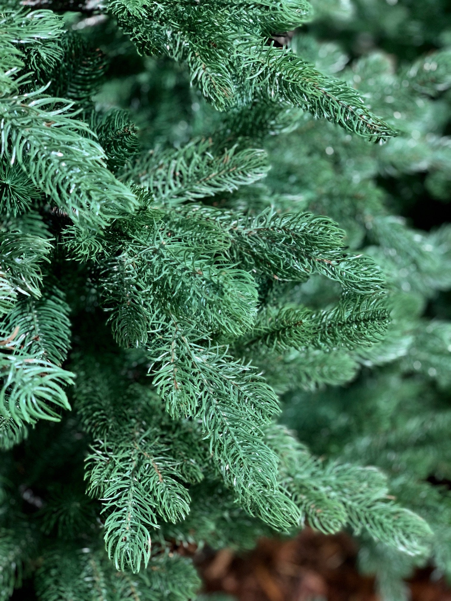 ALBERO DI NATALE 240CM SACCARELLO VERDE